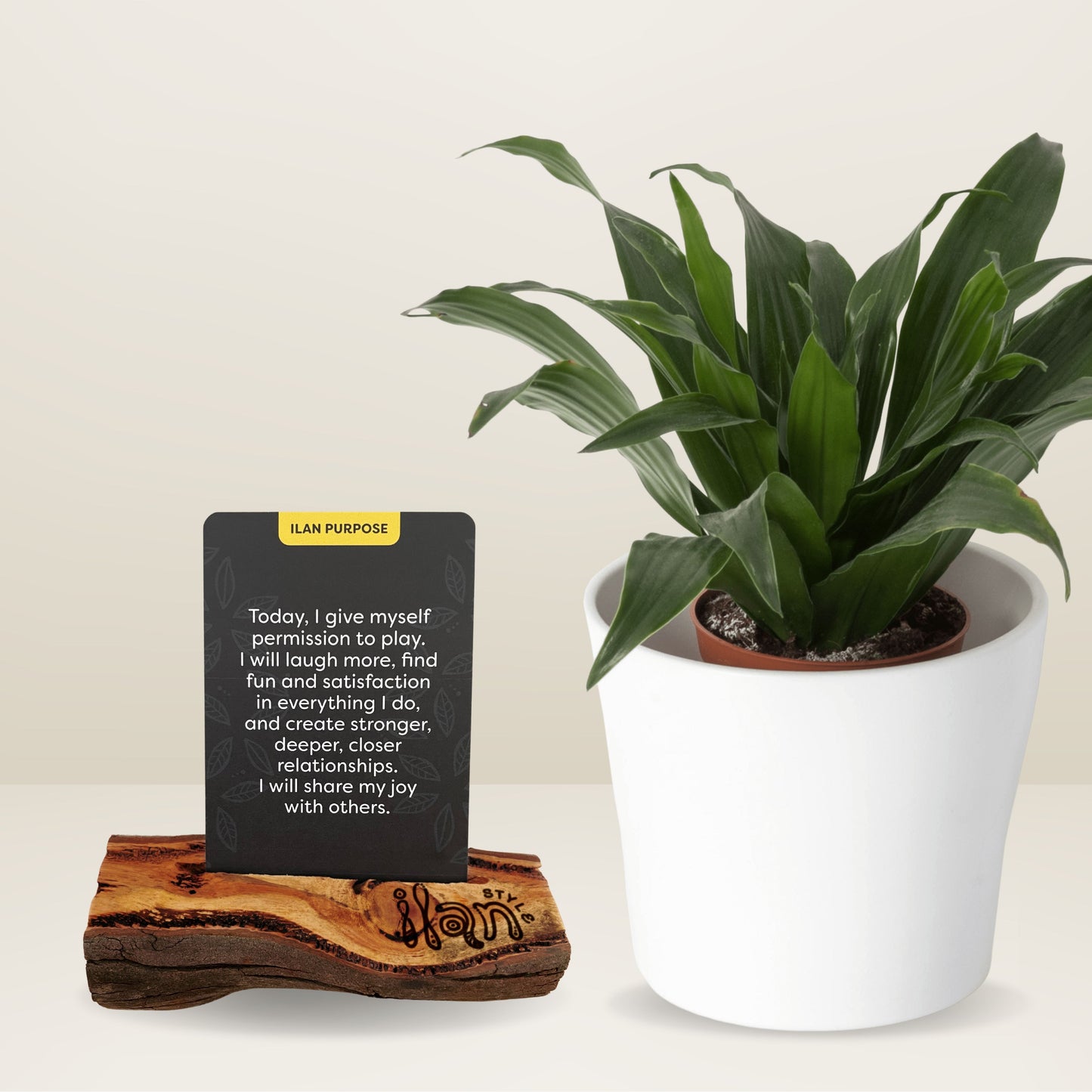 Ilan Style Affirmation Cards & Upcycled Card Holder Bundle