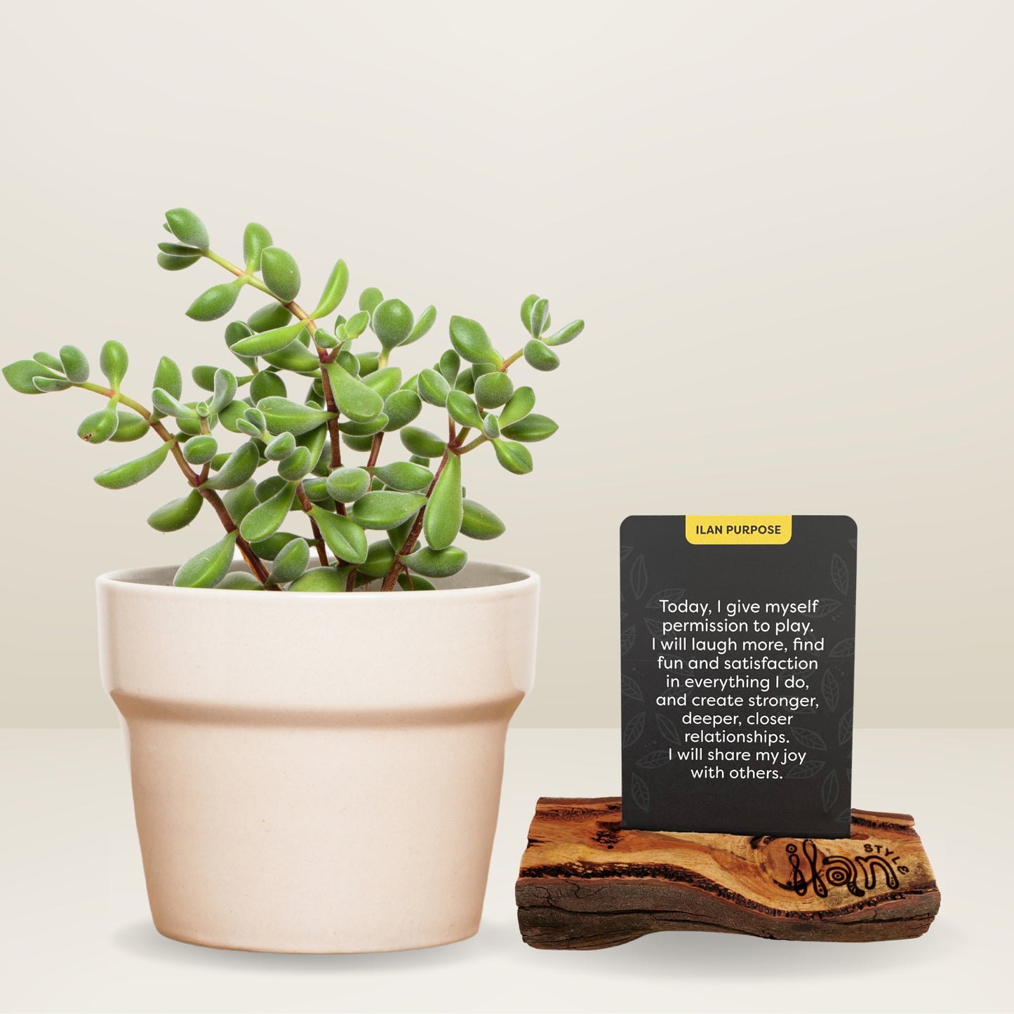 Ilan Style Upcycled Affirmation Card Holder
