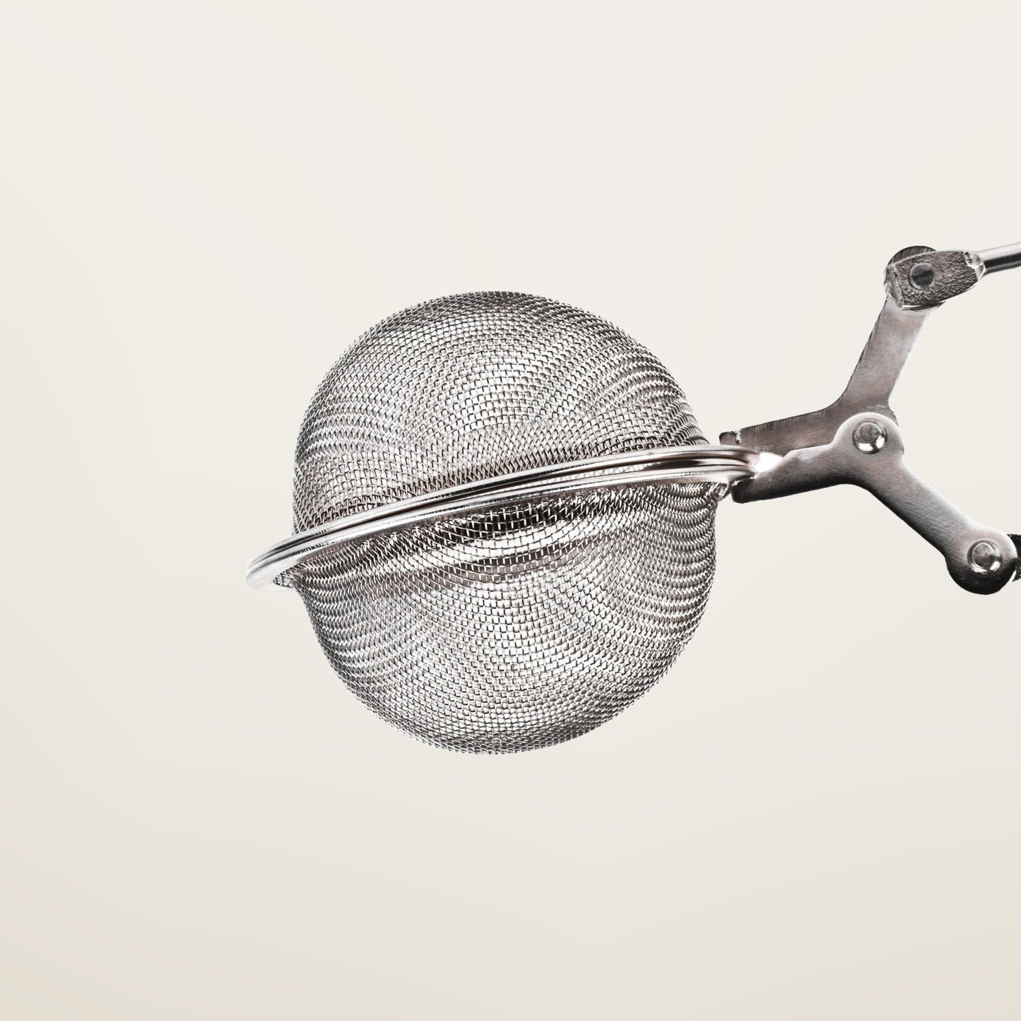 Tea Infuser