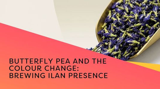 Butterfly pea and the colour change: brewing Ilan Presence