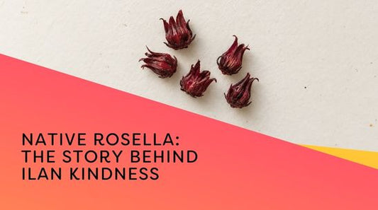 Native rosella: the story behind Ilan Kindness